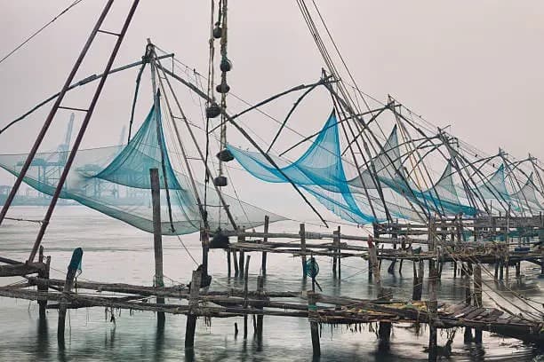 Chinese Fishing Nets