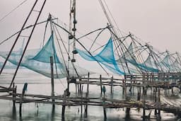 Chinese Fishing Nets