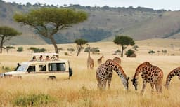 South Africa