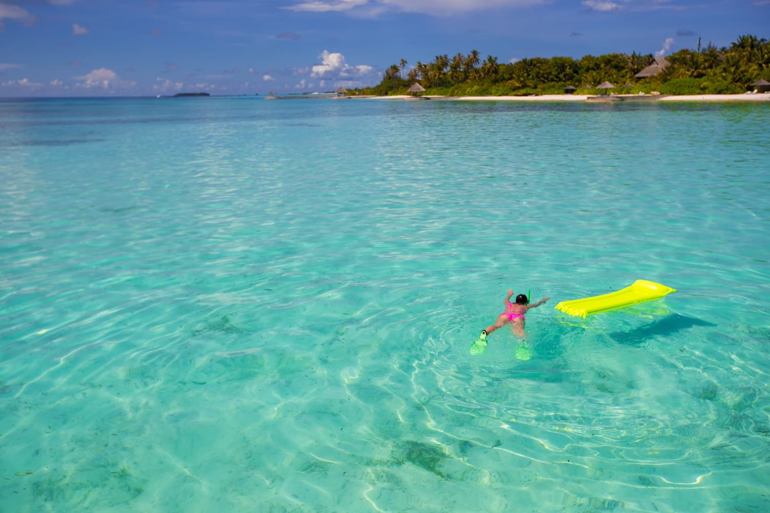 Go Snorkeling