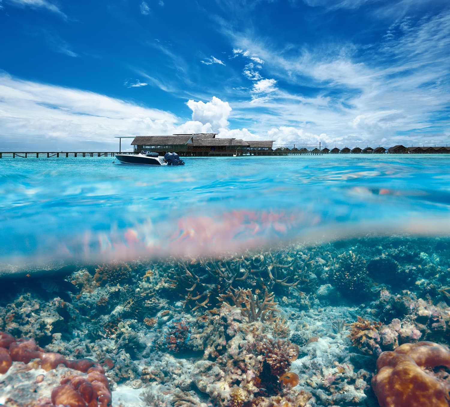 hp reef