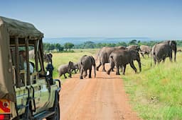 Masai Mara