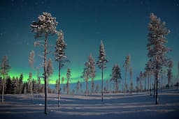 northern-lights