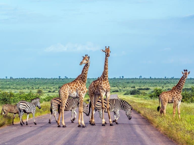 Best time to visit in South Africa