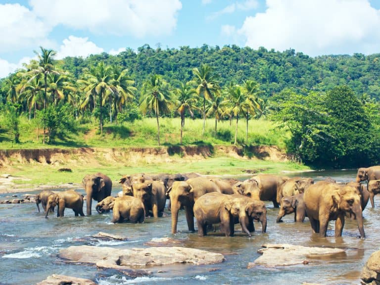 Best time to visit in Sri Lanka 