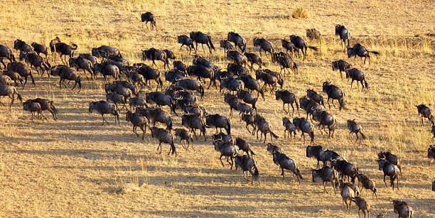 Tanzania 2 