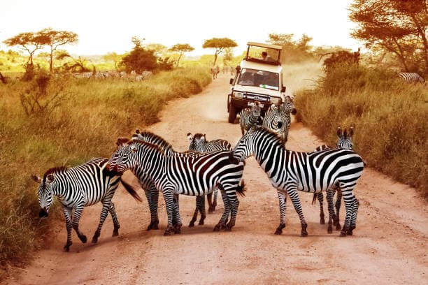 Tanzania 3 