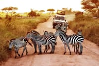 Tanzania 3 
