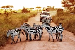 Tanzania 3 