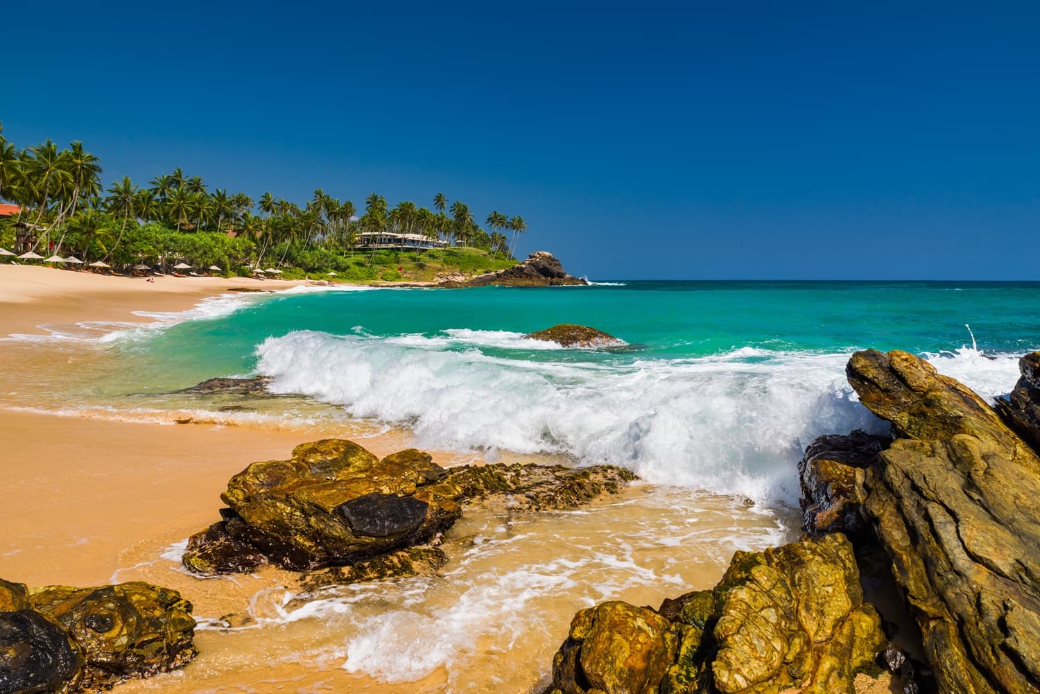 tropical beach Mirissa