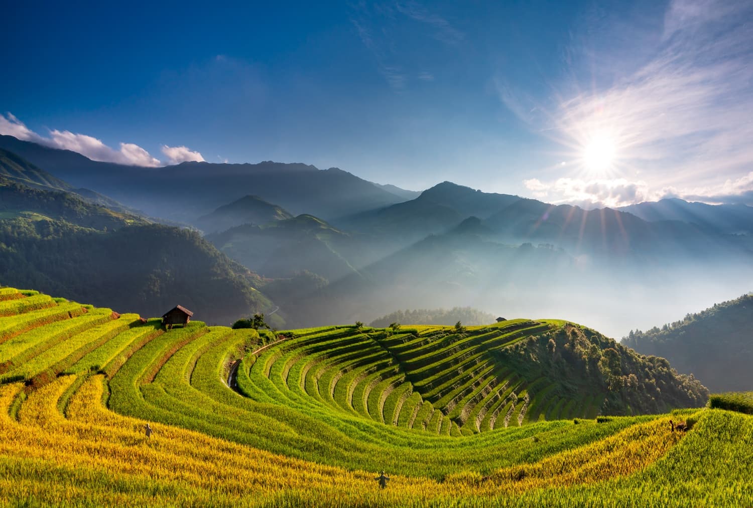 Vietnam