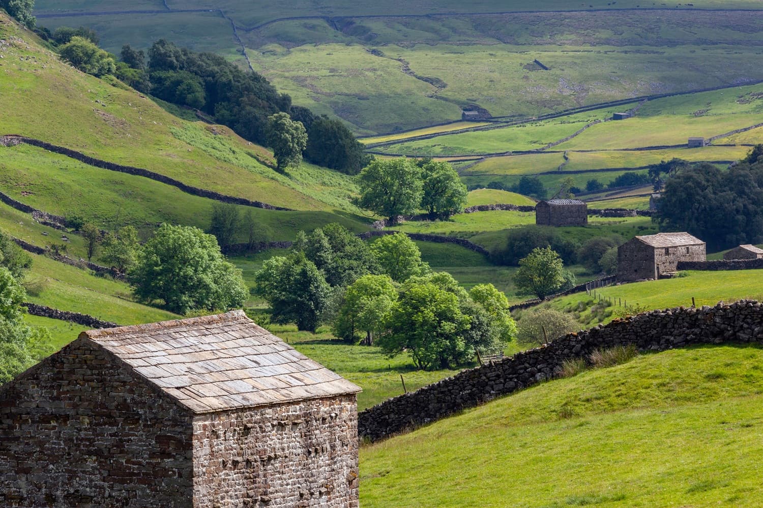 Yorkshire Tour