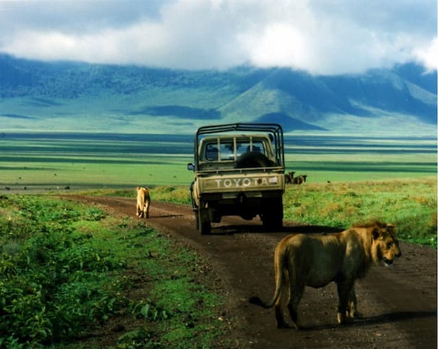 Highlights Of Tanzania