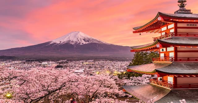 Japan with Cherry Blossom with Chef