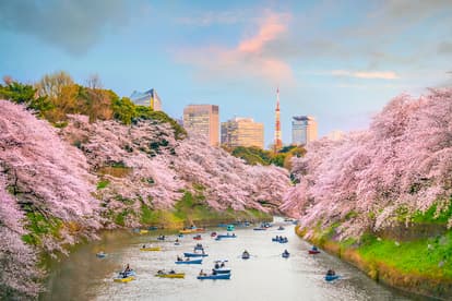 Chidorigafuchi Park