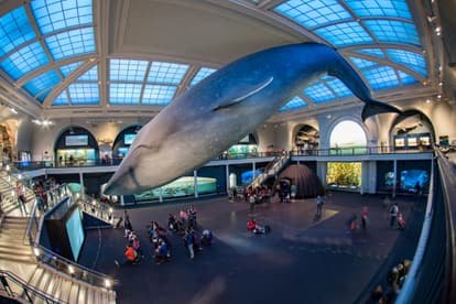 SeaWorld San Diego