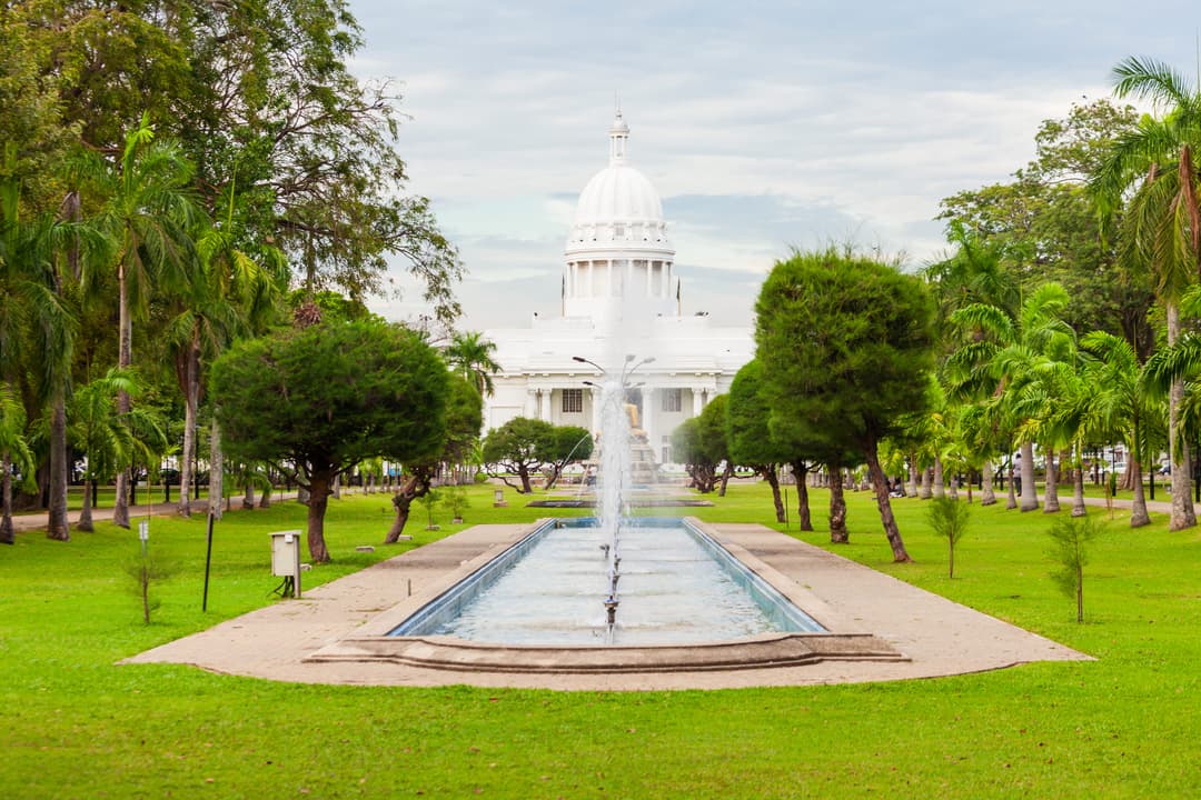 The Victoria Park