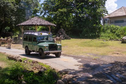 Bali Safari and Marine Park