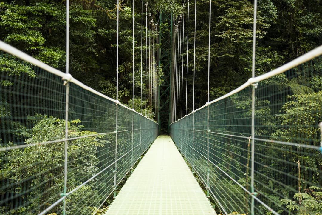Capilano Suspension Bridge