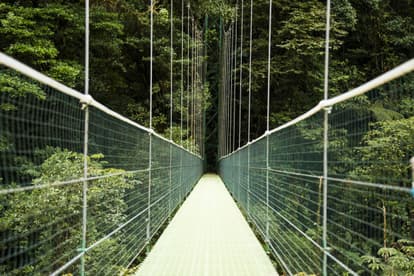 Capilano Suspension Bridge