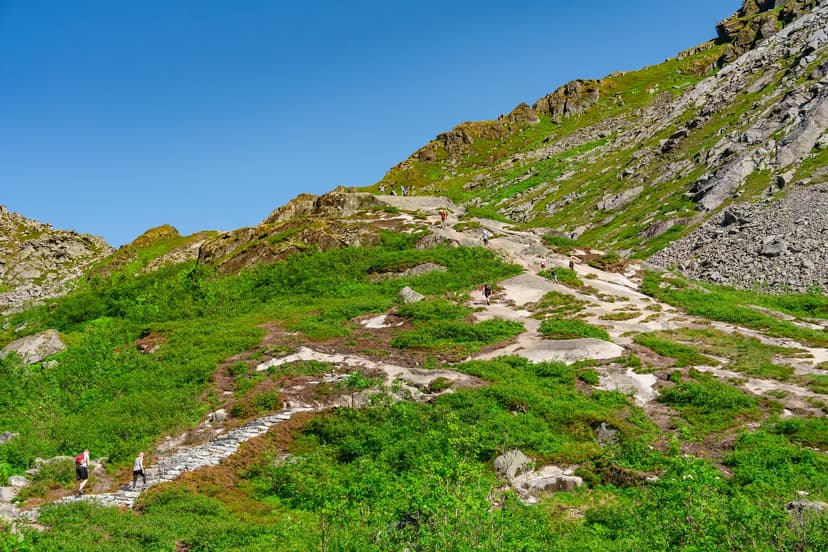 Go for Trek to Dainkund Peak