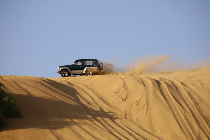 Desert Safari with BBQ Dinner