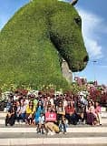 Group Tours