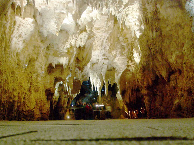 'Cathedral'_in_Waitomo_Cave.jpg