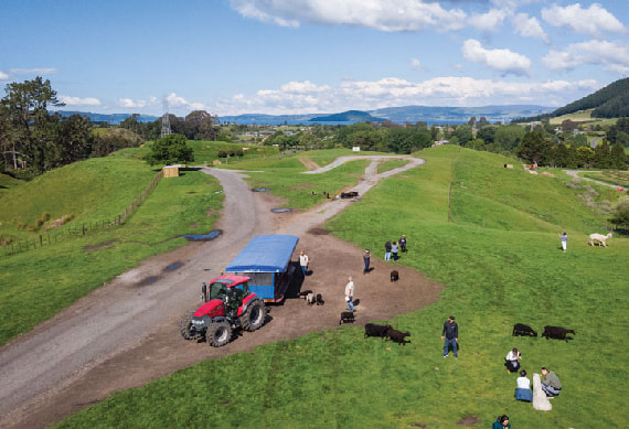 Agrodome-farm-tour.jpg