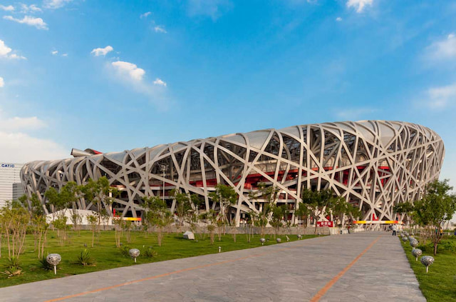 Bird nest.jpg