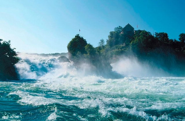 Black Forest Rhine Falls.jpg