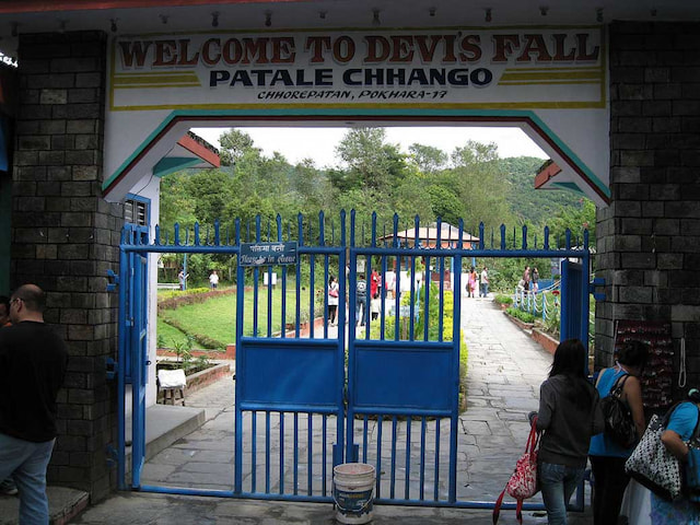 Davis Fall 2.jpg