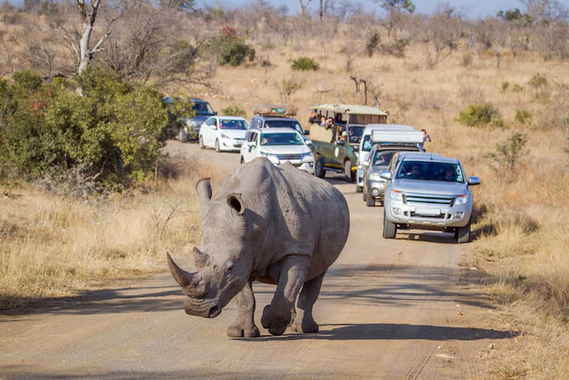 GAME DRIVE..jpg