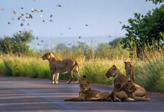 Game_Drive_5.jpg