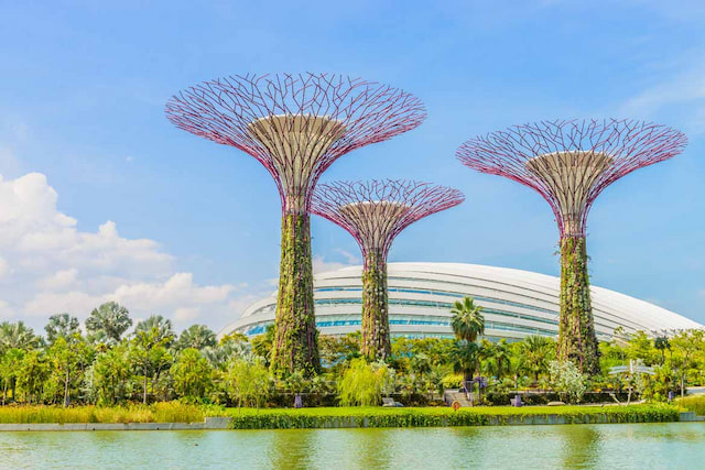 Garden by the bay 9.jpg