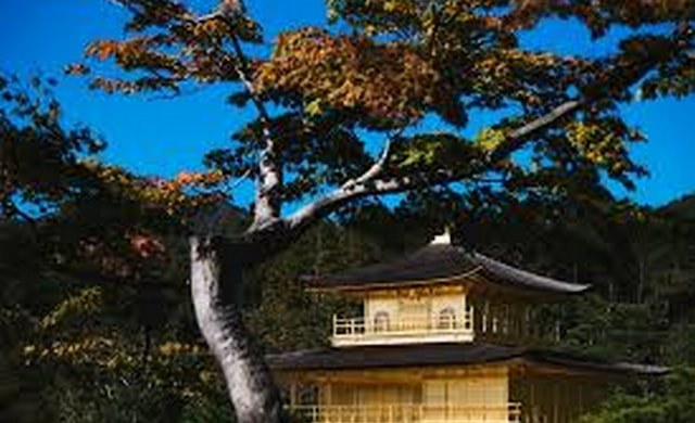 KYOTO NARA DAY TOUR From OSAKA.jpg