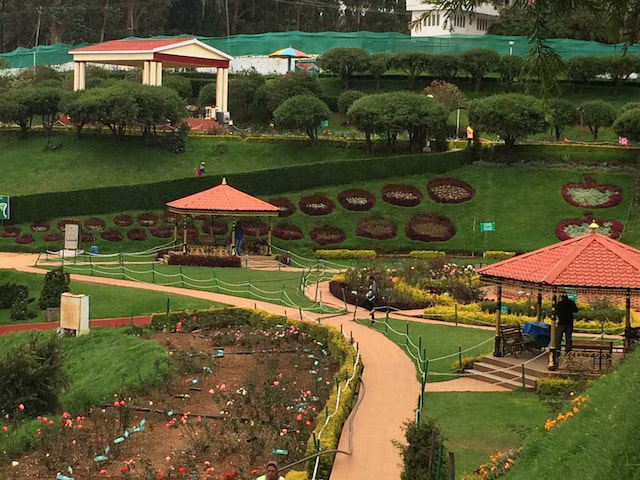 Rose Garden 3.jpg