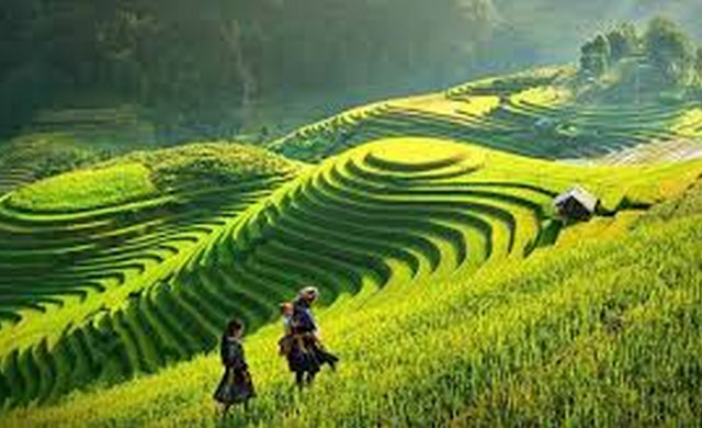 Sapa Trekking tour
