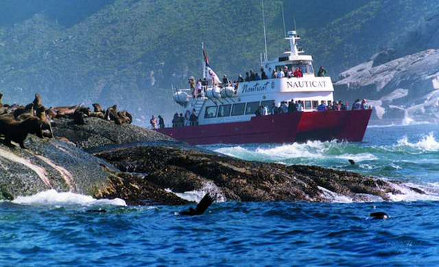 Seal-Island-Cruise.jpg