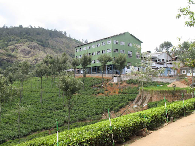 Tea Factory 2.jpg