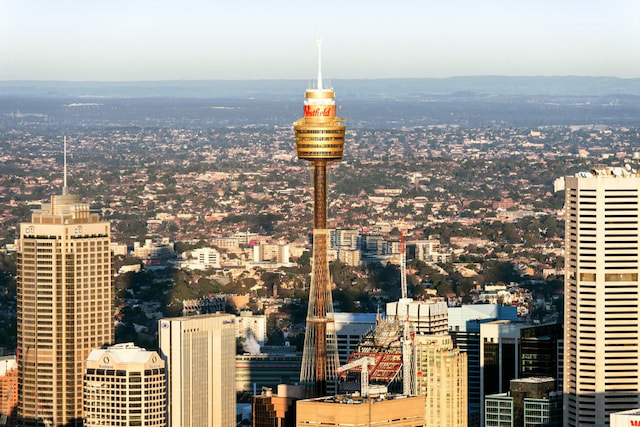 Tower Eye.jpg
