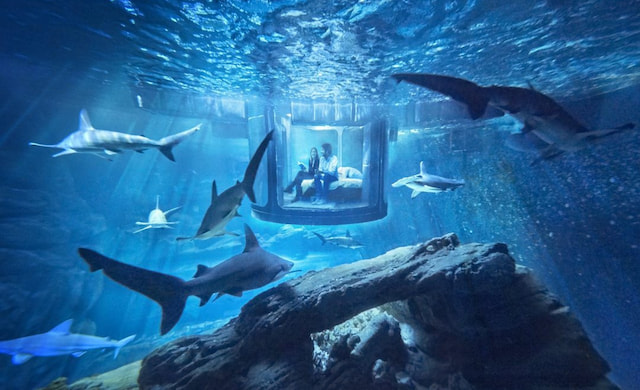 Underwater World 4 Resize 1280 X 780.jpg