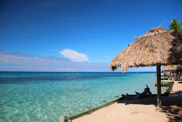 fiji_island.jpg