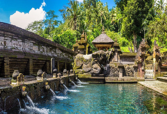 mpul.jpg