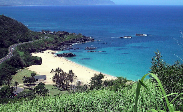 waimear.jpg