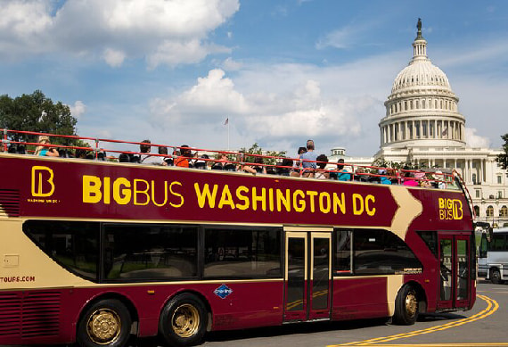 bus.jpg