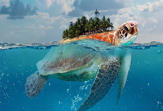 water-sport-acticty-1.jpg