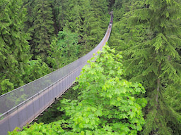 Capilano Suspension Bridge