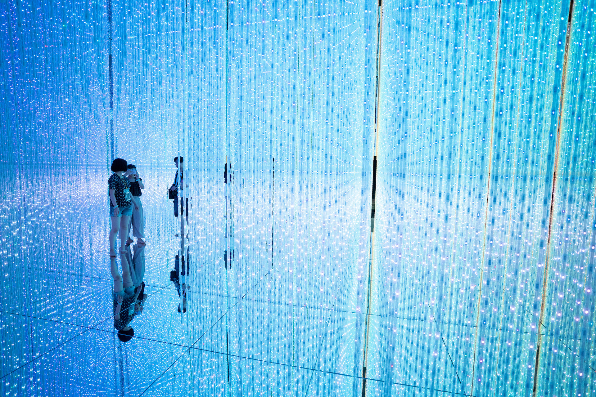 Team Lab Phenomena 