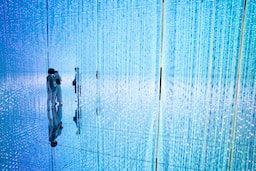 Team Lab Phenomena 